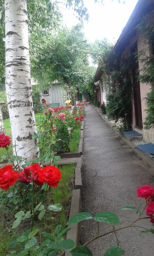 Camping Paradisul Soferilor 오네슈티 객실 사진